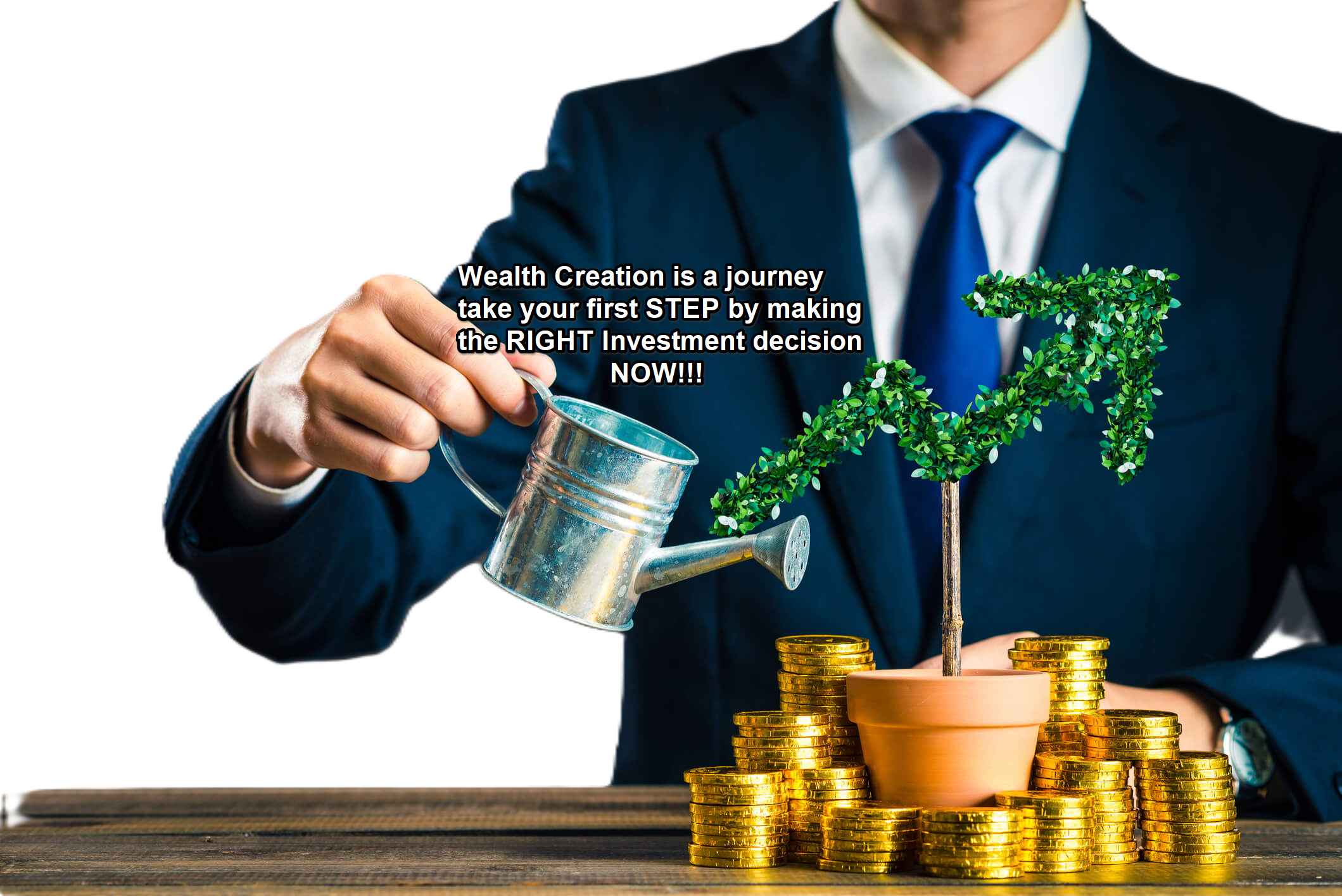 investment